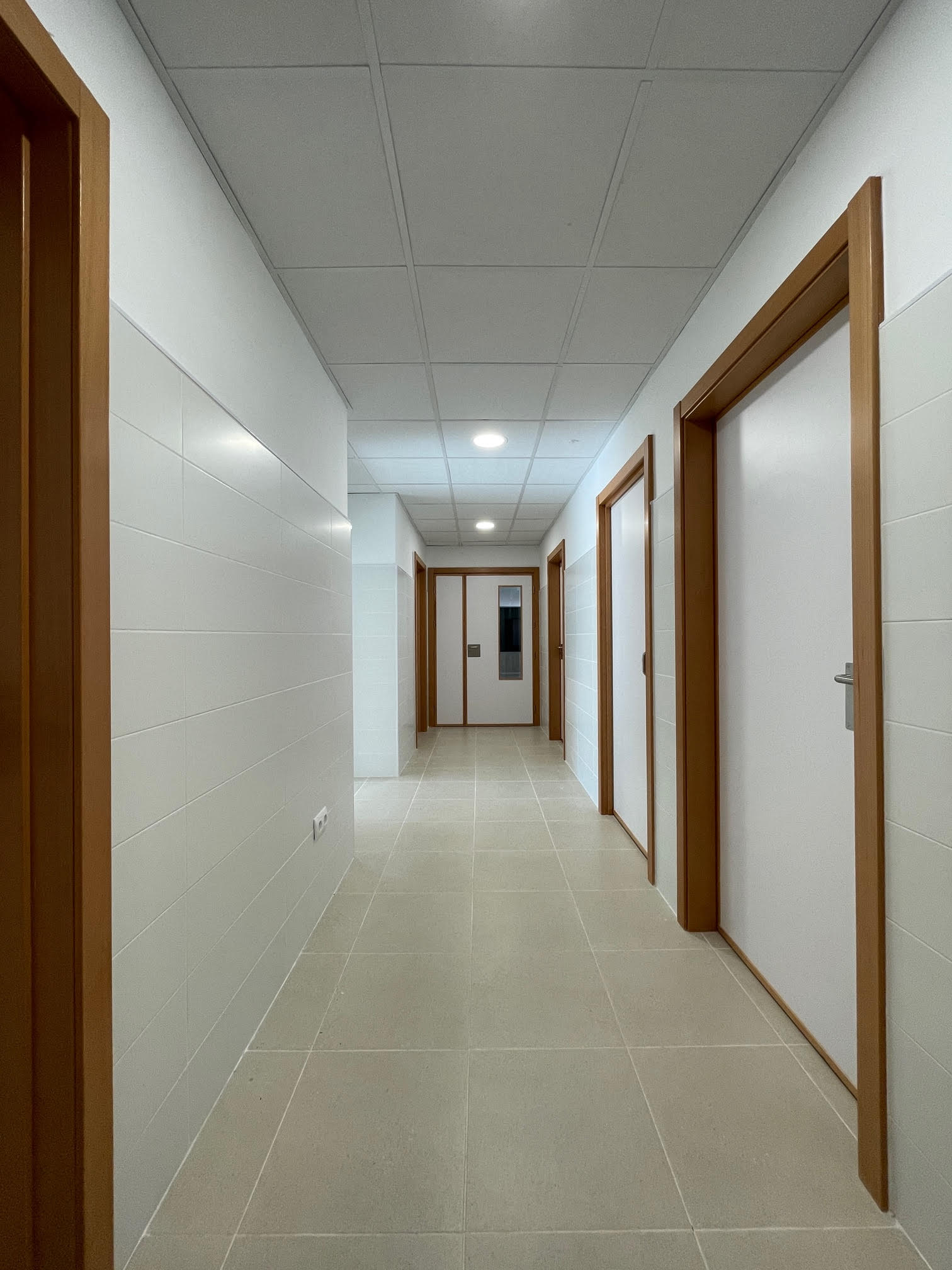 ceip sagrados corazones6